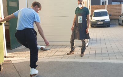 SK8VIE Team testet die neuen WIFA Modelle